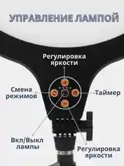 Кольцевая селфи-лампа, профессиональная, с двумя штативами и держателем для телефона 35 см