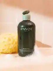 Прозрачный payot Essentiel. Ж Товар. Шампунь для волос деликатный дружественный биому, 280 мл