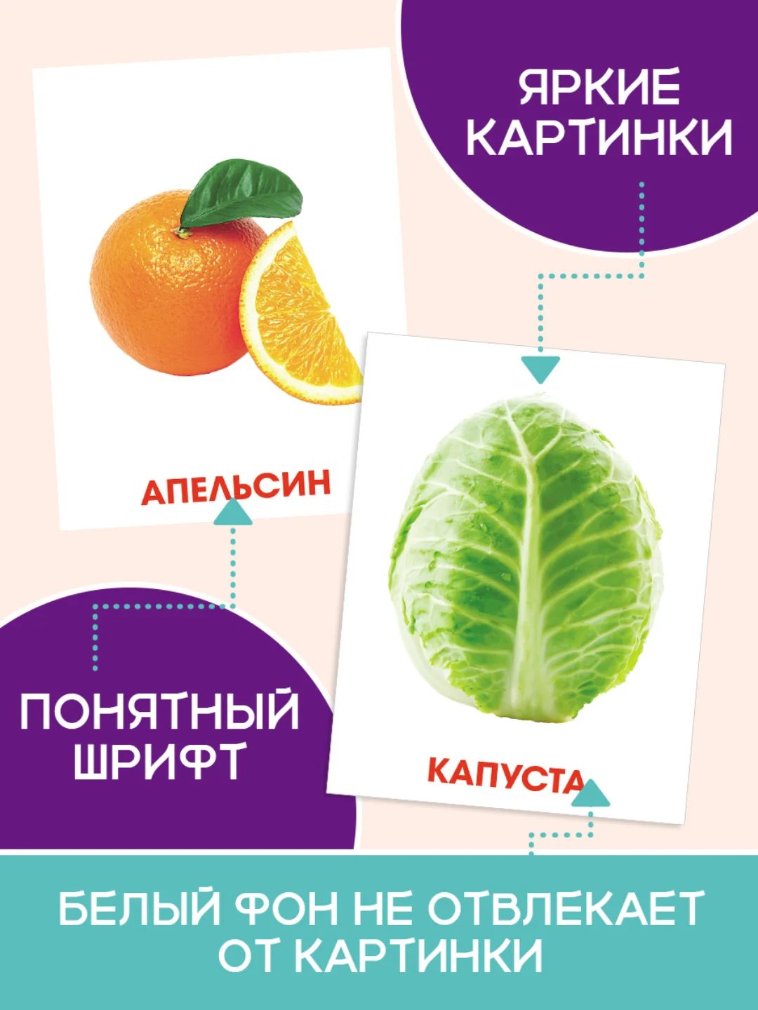 Мятный карточки обучающие для детей двусторонние 16 шт., 170х265 мм. Проф-Пресс