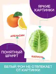 Мятный карточки обучающие для детей двусторонние 16 шт., 170х265 мм. Проф-Пресс