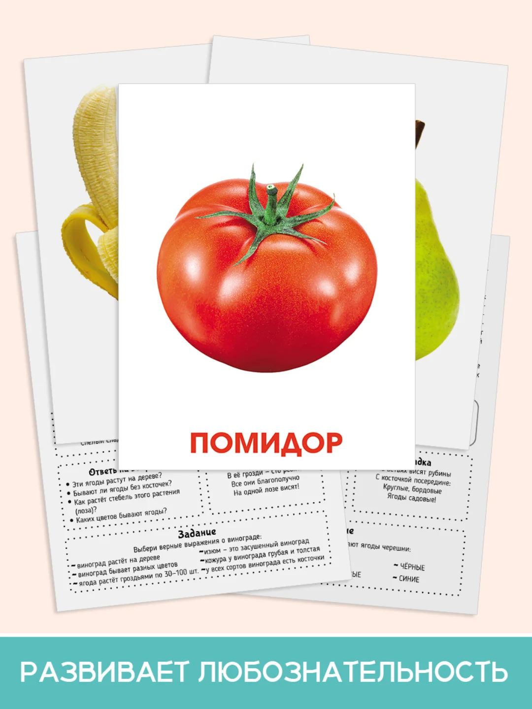 Мятный карточки обучающие для детей двусторонние 16 шт., 170х265 мм. Проф-Пресс