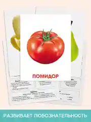 Мятный карточки обучающие для детей двусторонние 16 шт., 170х265 мм. Проф-Пресс