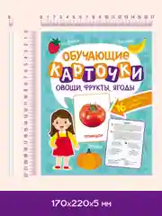 Мятный карточки обучающие для детей двусторонние 16 шт., 170х265 мм. Проф-Пресс