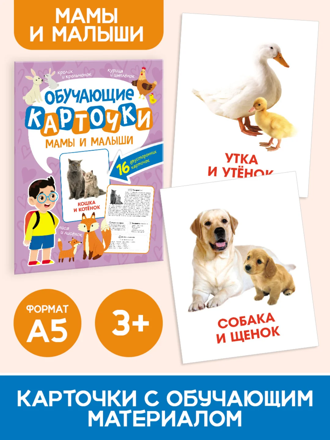 Лавандовый карточки обучающие для детей двусторонние 16 шт., 170х265 мм. Проф-Пресс