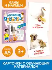 Лавандовый карточки обучающие для детей двусторонние 16 шт., 170х265 мм. Проф-Пресс