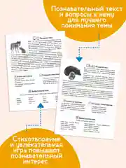 Лавандовый карточки обучающие для детей двусторонние 16 шт., 170х265 мм. Проф-Пресс
