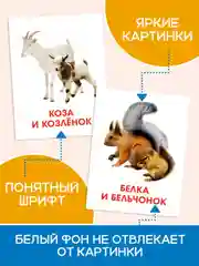 Лавандовый карточки обучающие для детей двусторонние 16 шт., 170х265 мм. Проф-Пресс