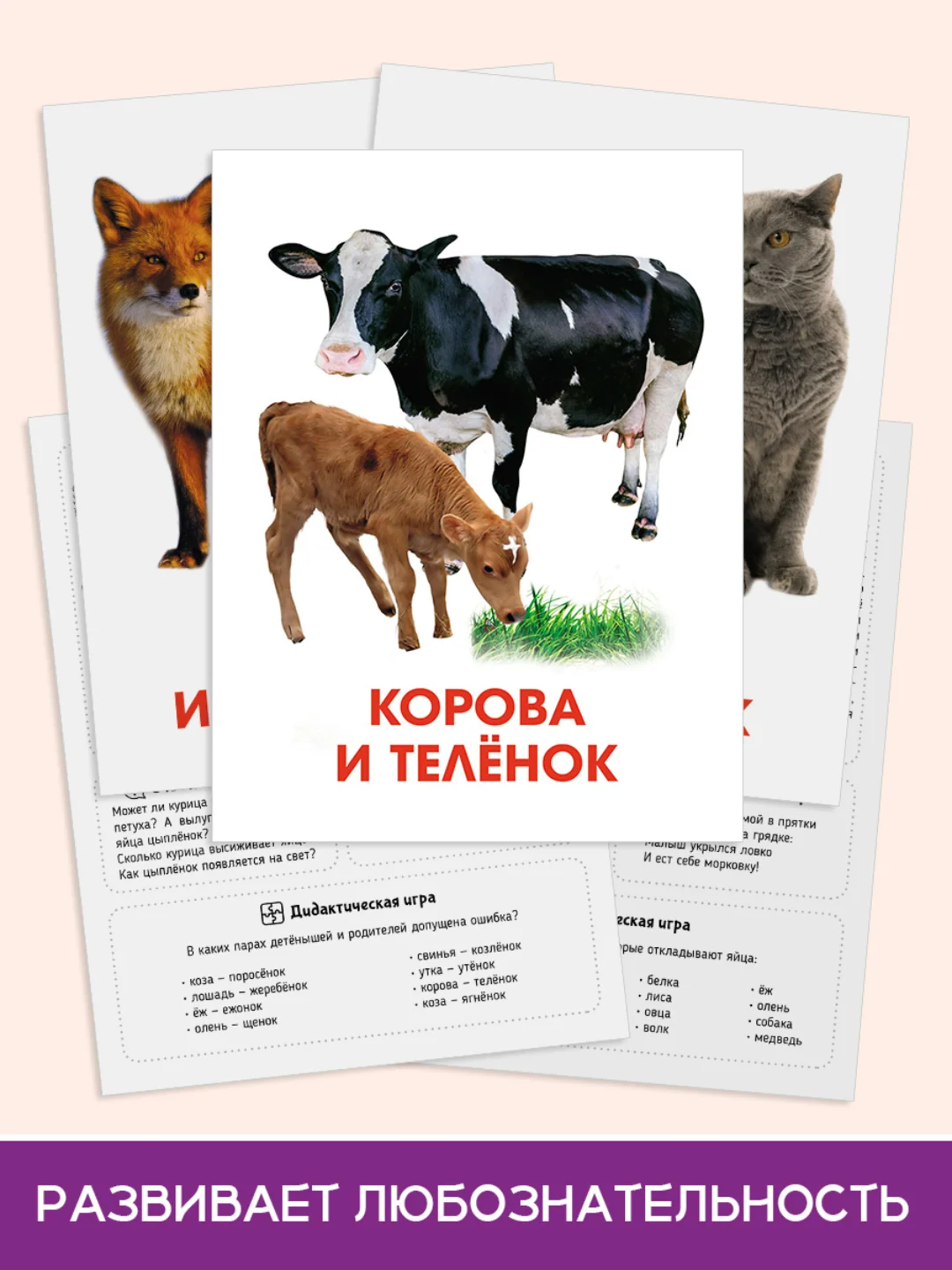 Лавандовый карточки обучающие для детей двусторонние 16 шт., 170х265 мм. Проф-Пресс