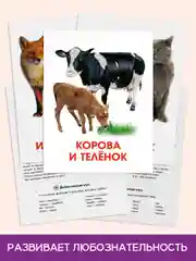 Лавандовый карточки обучающие для детей двусторонние 16 шт., 170х265 мм. Проф-Пресс