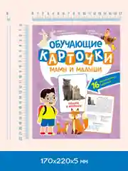 Лавандовый карточки обучающие для детей двусторонние 16 шт., 170х265 мм. Проф-Пресс
