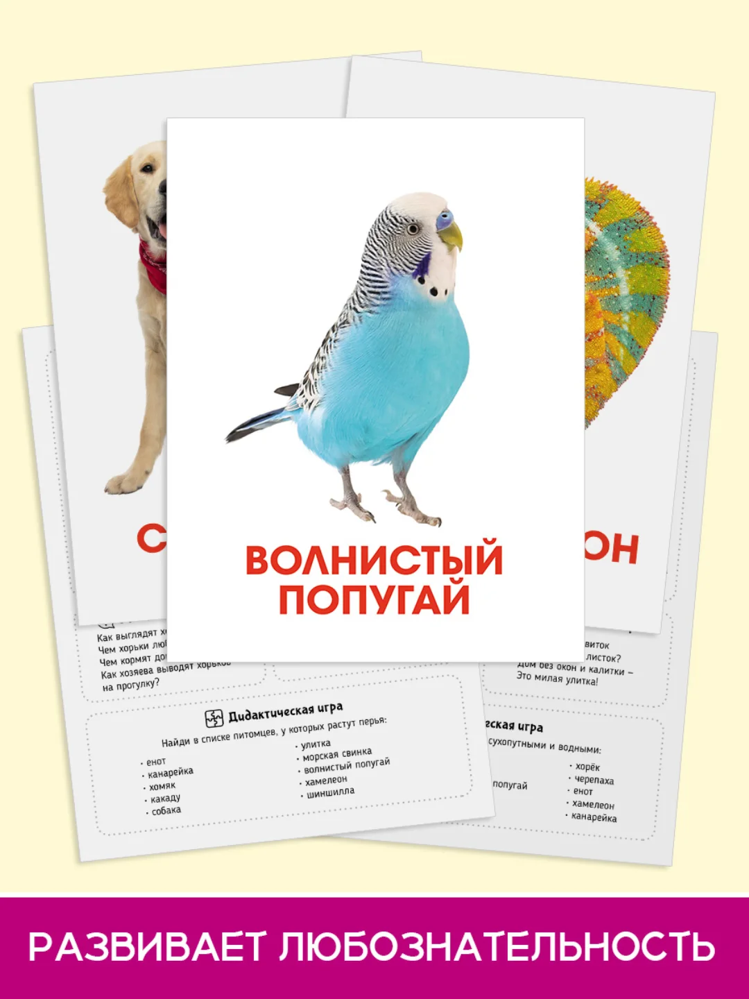 Конфетный карточки обучающие для детей двусторонние 16 шт., 170х265 мм. Проф-Пресс
