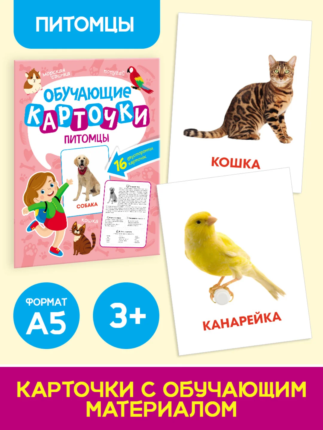 Конфетный карточки обучающие для детей двусторонние 16 шт., 170х265 мм. Проф-Пресс