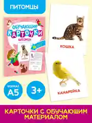 Конфетный карточки обучающие для детей двусторонние 16 шт., 170х265 мм. Проф-Пресс