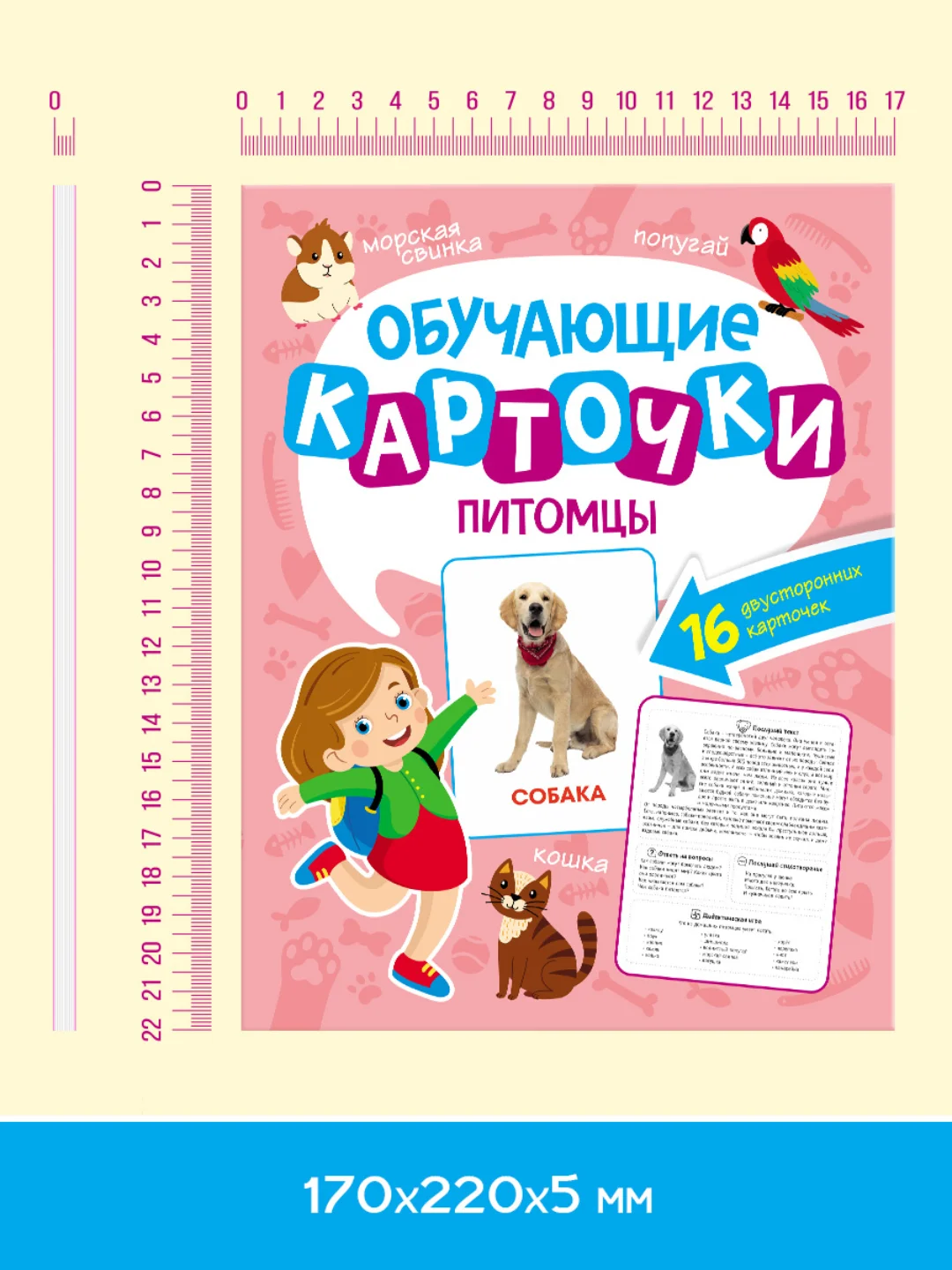Конфетный карточки обучающие для детей двусторонние 16 шт., 170х265 мм. Проф-Пресс