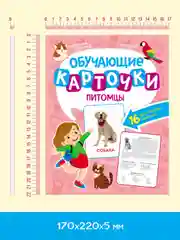Конфетный карточки обучающие для детей двусторонние 16 шт., 170х265 мм. Проф-Пресс