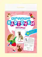 Конфетный карточки обучающие для детей двусторонние 16 шт., 170х265 мм. Проф-Пресс