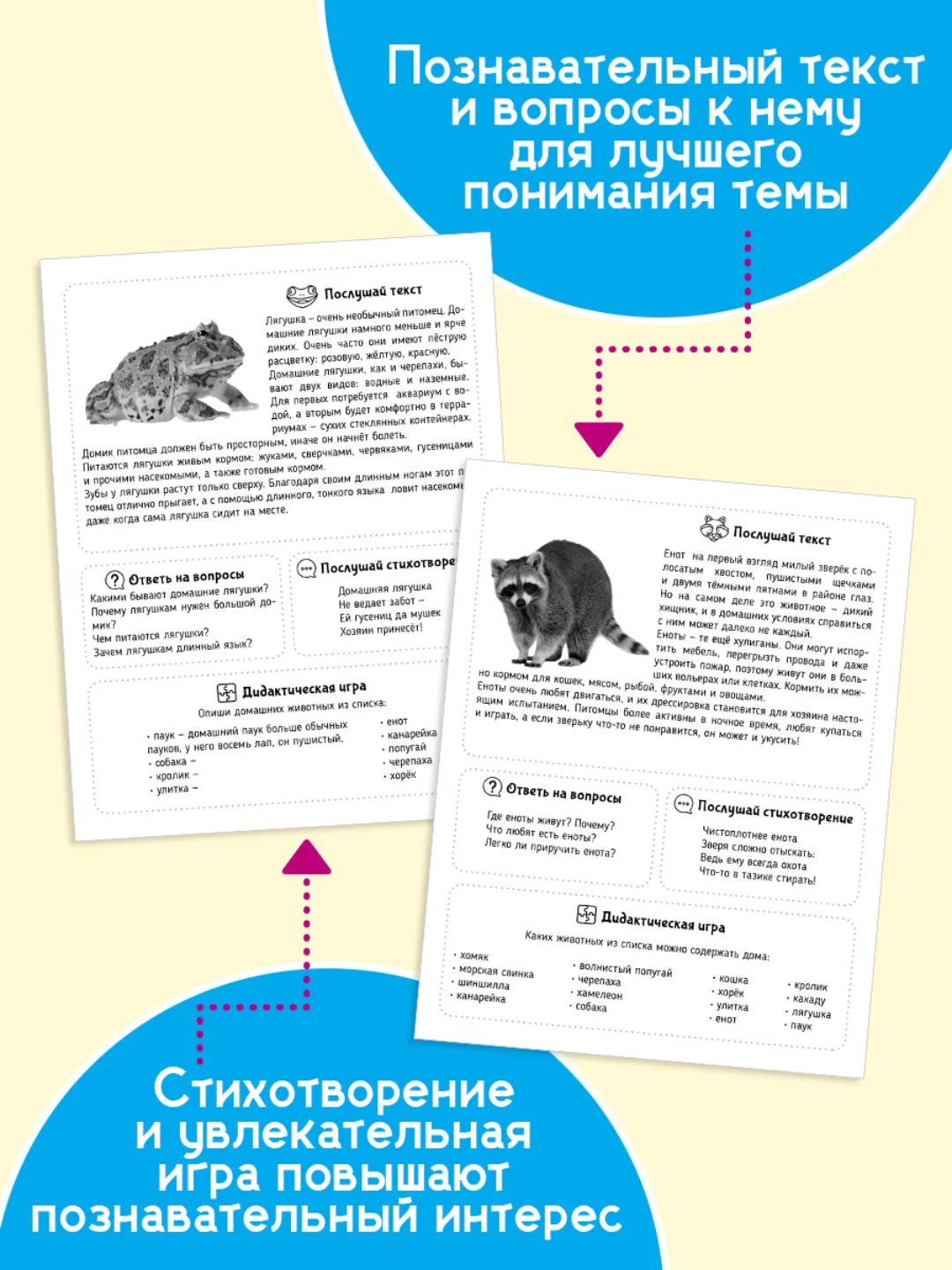 Конфетный карточки обучающие для детей двусторонние 16 шт., 170х265 мм. Проф-Пресс