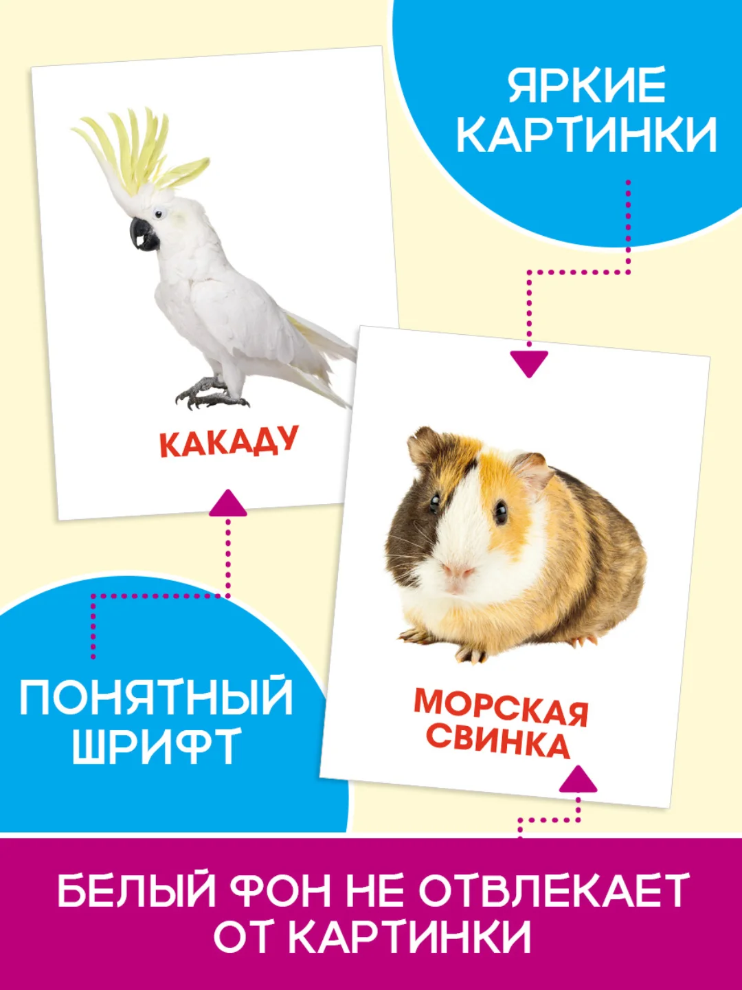 Конфетный карточки обучающие для детей двусторонние 16 шт., 170х265 мм. Проф-Пресс