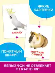 Конфетный карточки обучающие для детей двусторонние 16 шт., 170х265 мм. Проф-Пресс