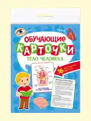 Салатовый карточки обучающие для детей двусторонние 16 шт., 170х265 мм. Проф-Пресс