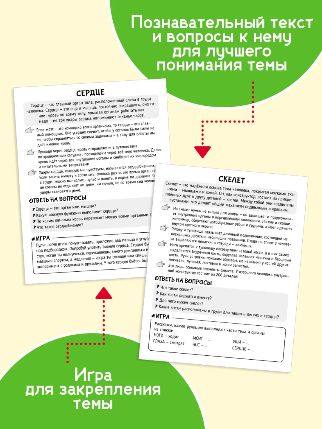 Салатовый карточки обучающие для детей двусторонние 16 шт., 170х265 мм. Проф-Пресс