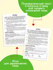 Салатовый карточки обучающие для детей двусторонние 16 шт., 170х265 мм. Проф-Пресс