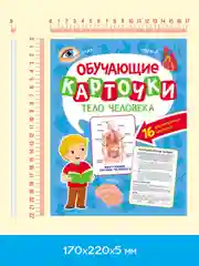 Салатовый карточки обучающие для детей двусторонние 16 шт., 170х265 мм. Проф-Пресс