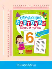 Салатовый карточки обучающие для детей двусторонние 16 шт., 170х265 мм. Проф-Пресс