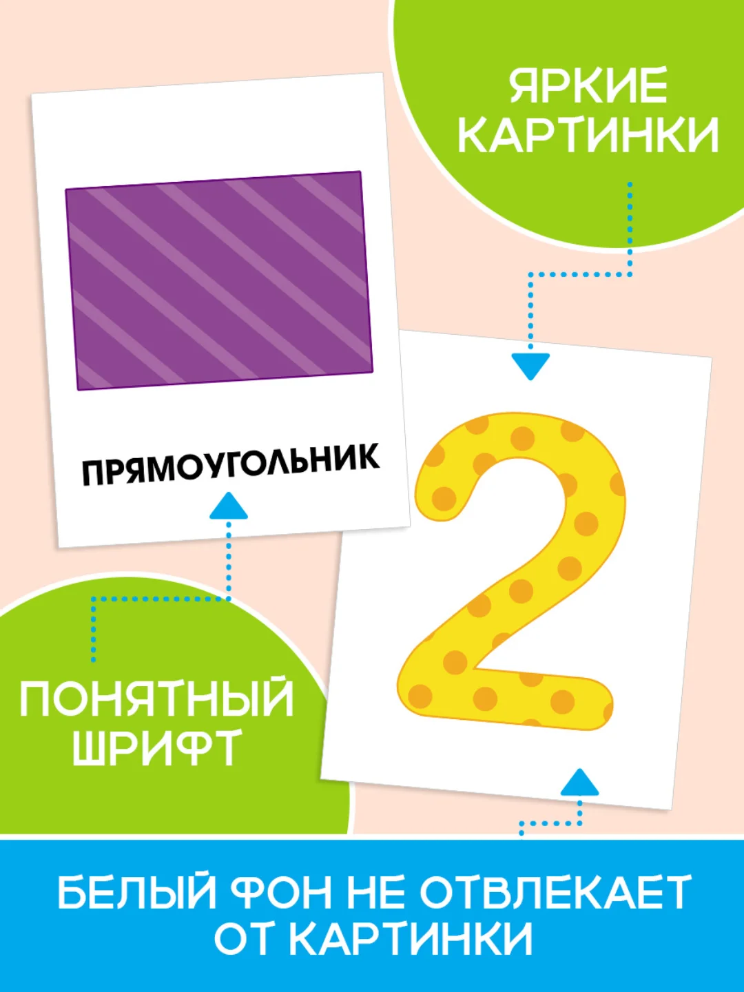 Салатовый карточки обучающие для детей двусторонние 16 шт., 170х265 мм. Проф-Пресс