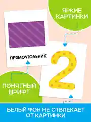 Салатовый карточки обучающие для детей двусторонние 16 шт., 170х265 мм. Проф-Пресс