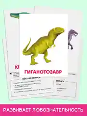 Зеленый карточки обучающие для детей двусторонние 16 шт., 170х265 мм. Проф-Пресс