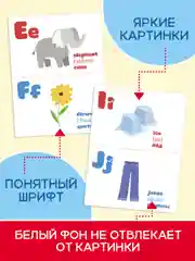 Голубой карточки обучающие для детей двусторонние 16 шт., 170х265 мм. Проф-Пресс