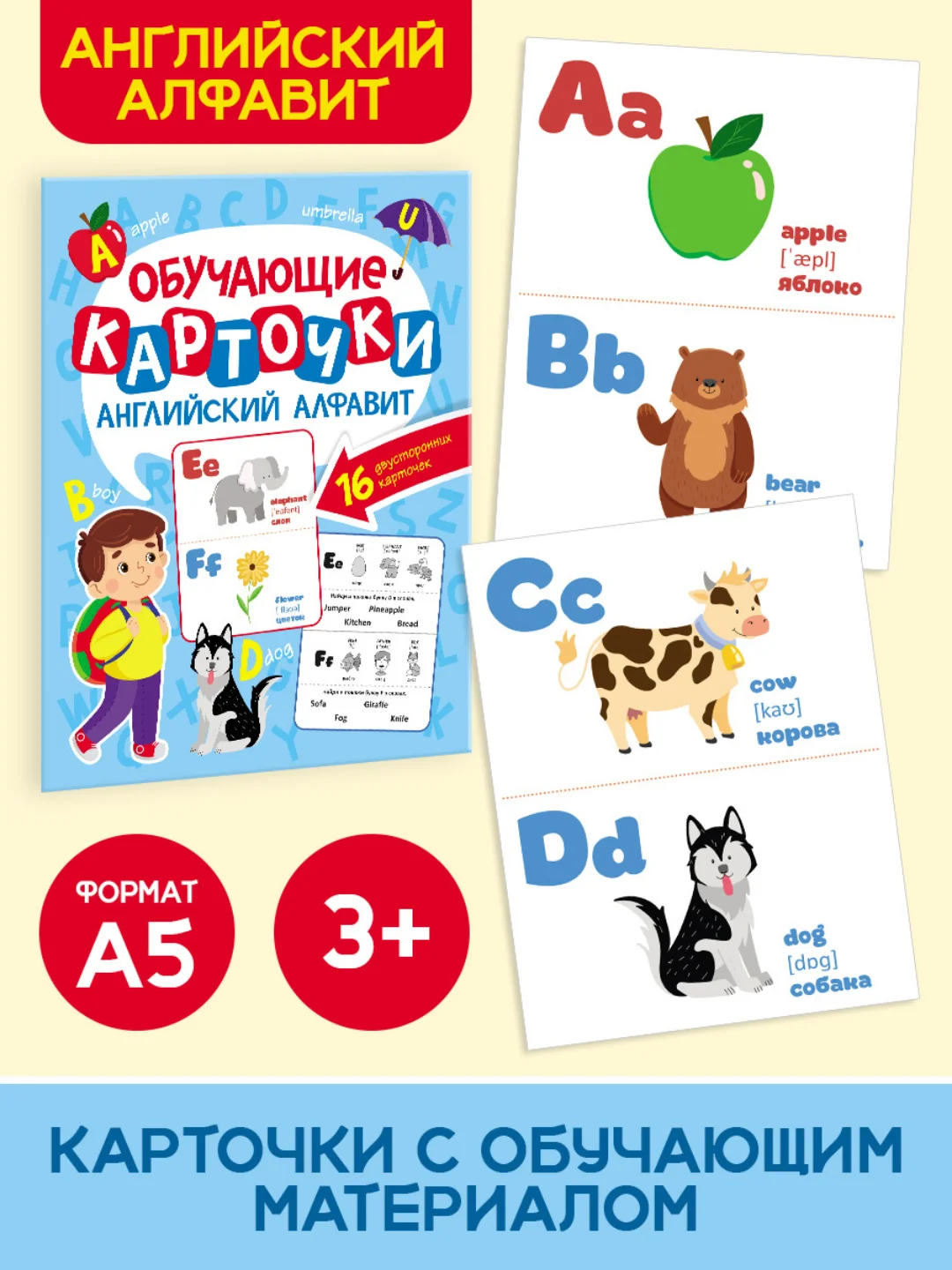 Голубой карточки обучающие для детей двусторонние 16 шт., 170х265 мм. Проф-Пресс