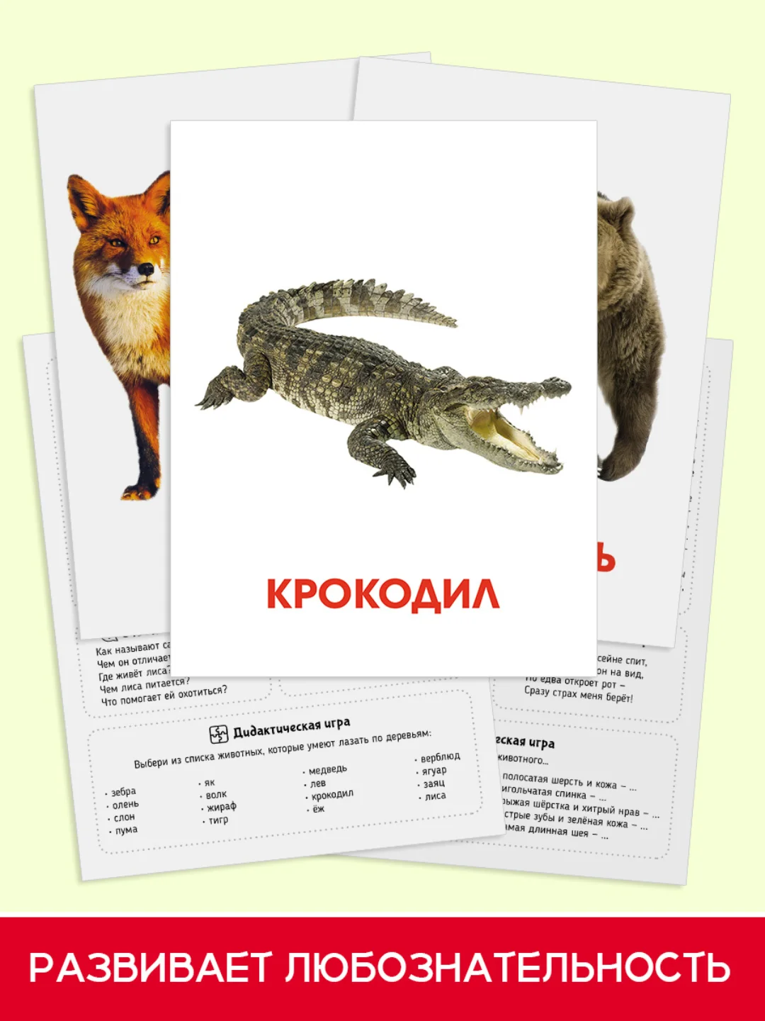 Бирюзовый карточки обучающие для детей двусторонние 16 шт., 170х265 мм. Проф-Пресс