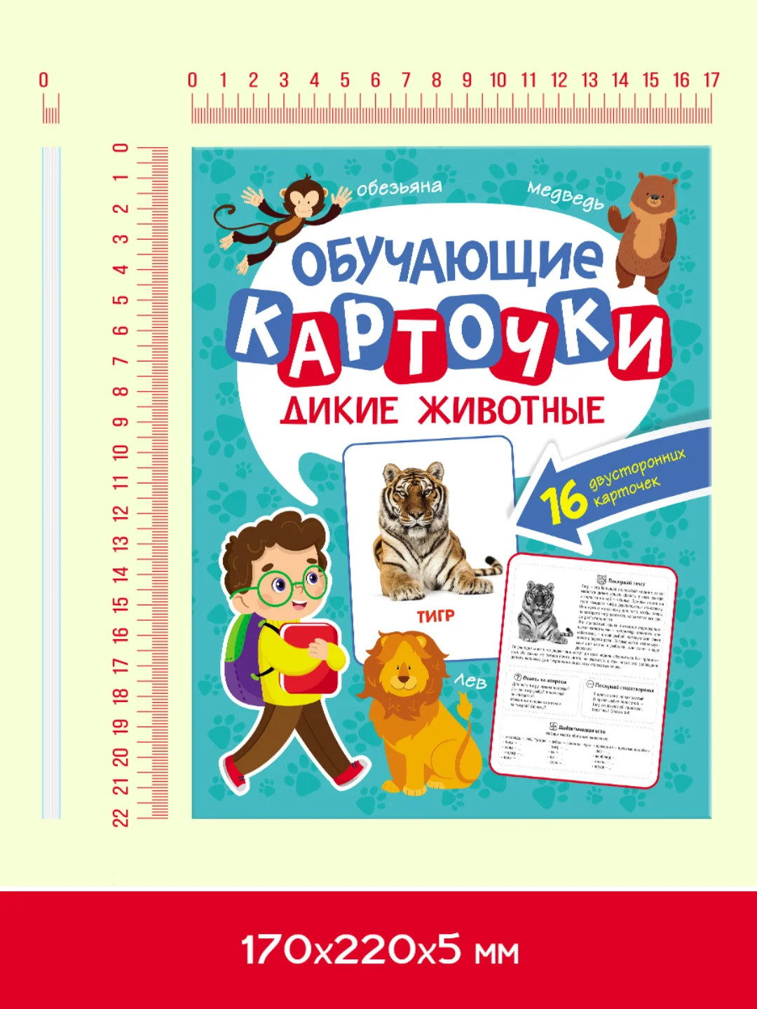 Бирюзовый карточки обучающие для детей двусторонние 16 шт., 170х265 мм. Проф-Пресс