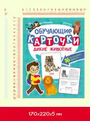 Бирюзовый карточки обучающие для детей двусторонние 16 шт., 170х265 мм. Проф-Пресс
