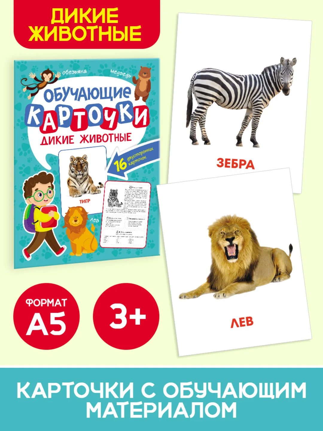 Бирюзовый карточки обучающие для детей двусторонние 16 шт., 170х265 мм. Проф-Пресс