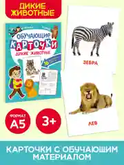 Бирюзовый карточки обучающие для детей двусторонние 16 шт., 170х265 мм. Проф-Пресс