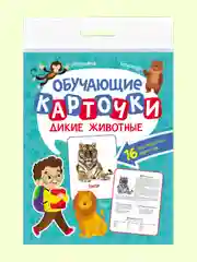 Бирюзовый карточки обучающие для детей двусторонние 16 шт., 170х265 мм. Проф-Пресс