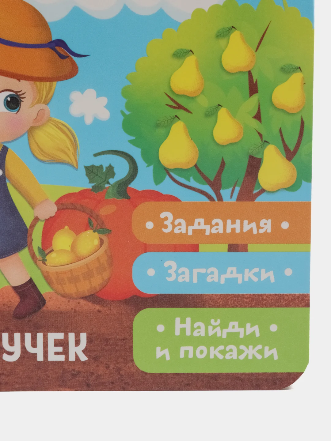 Книжка с липучками "Что где растёт?", 12 страниц