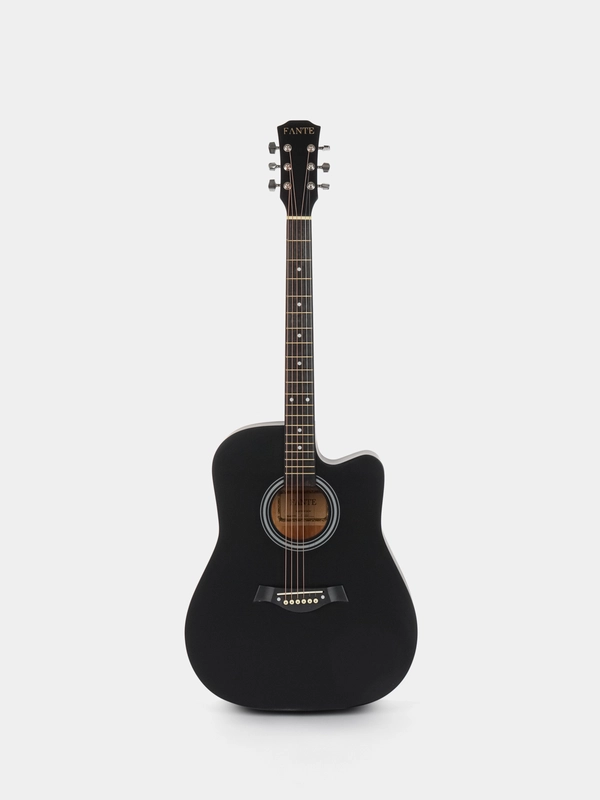 Акустическая гитара Fante FT-221-BK