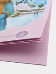 Книга "Снегурочка"