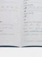 Прописи. Пишем буквы, слоги, слова, предложения.  (каллиграфические с заданиями и упражнен