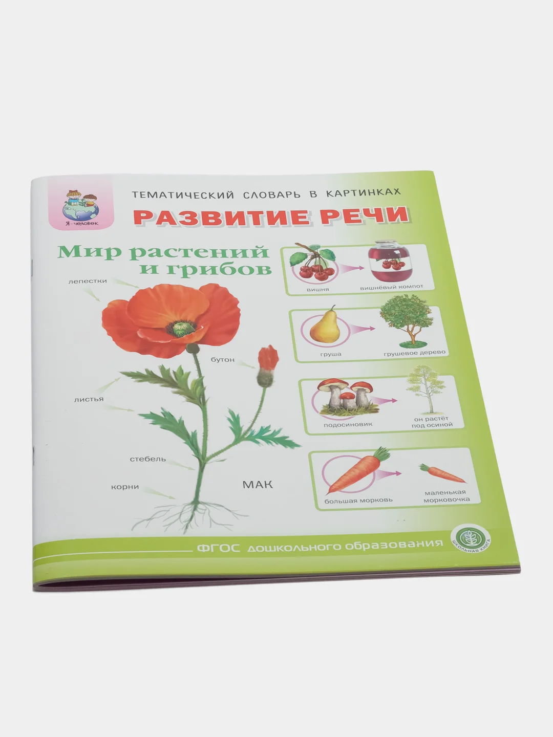 Тематический словарь в картинках "Развитие речи мир растений и грибов", Дурова И.В.