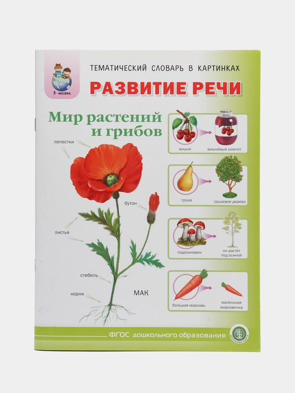 Тематический словарь в картинках "Развитие речи мир растений и грибов", Дурова И.В.
