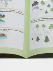 ОРИЕНТИРОВАНИЕ В ПРОСТРАНСТВЕ. Математический тренажёр. От простого - к сложному. 4-6 лет