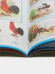 Развитие речи "Мир животных", домашние и дикие животные, звери и птицы