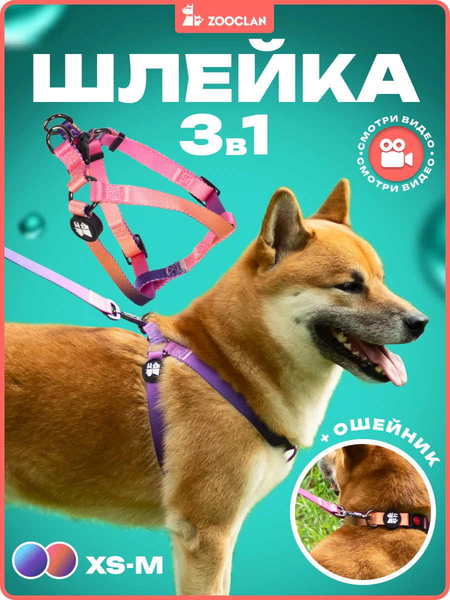 Темно-синий шлейка, ошейник, поводок для собак, комплект 3 в 1