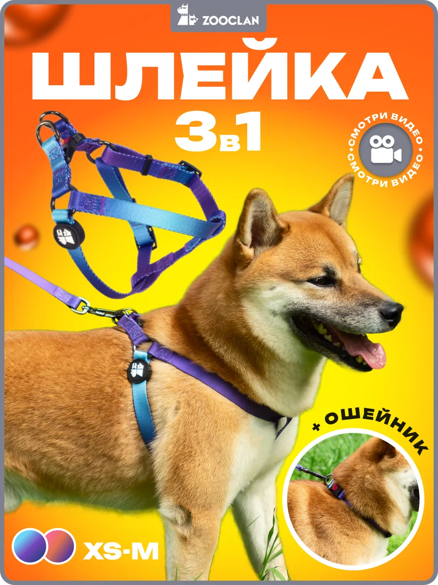 Темно-синий шлейка, ошейник, поводок для собак, комплект 3 в 1