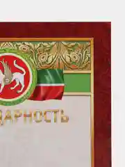 Алый благодарность, благодарственное письмо, герб РТ, герб РФ, размер 21*29,7 см